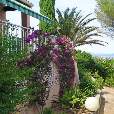 Ferienhaus Carpe Diem *